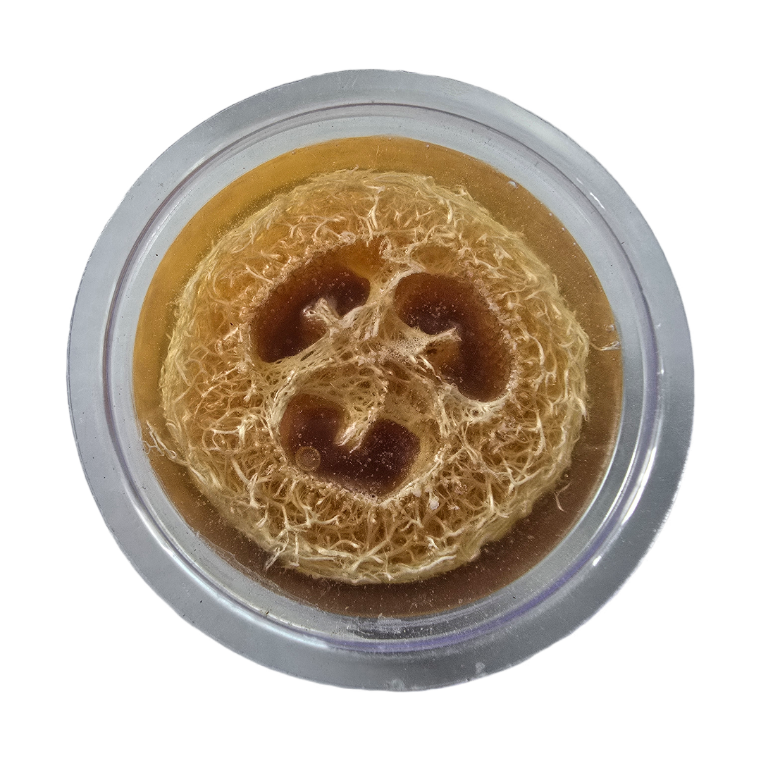 Loofah Soap